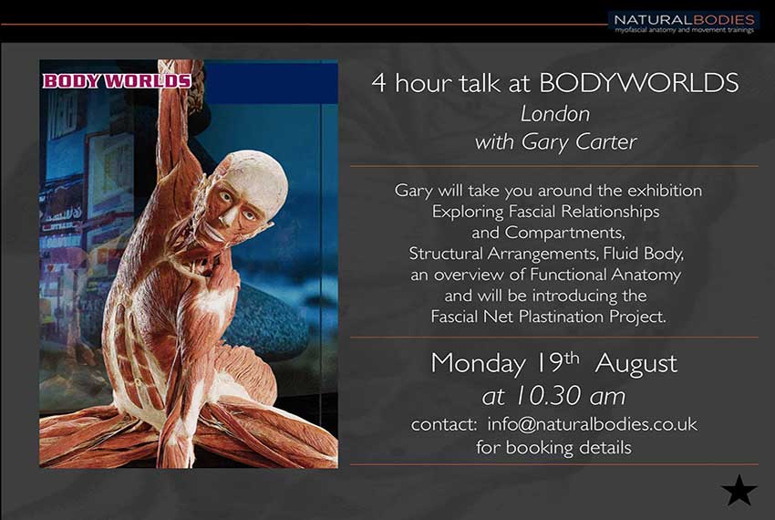 Body Worlds, Gary Carter, London, Fascia, Plastination, Anatomy, Functional
