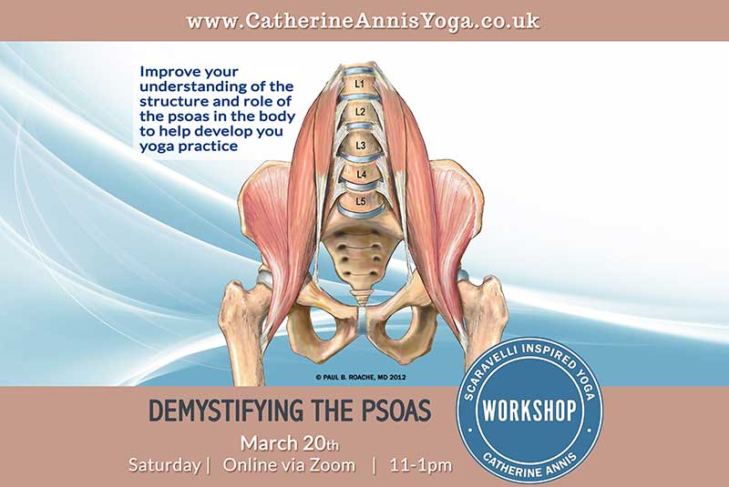 Scaravelli Inspired, Yoga Workshop, Anatomy, Psoas Muscle, Catherine Annis