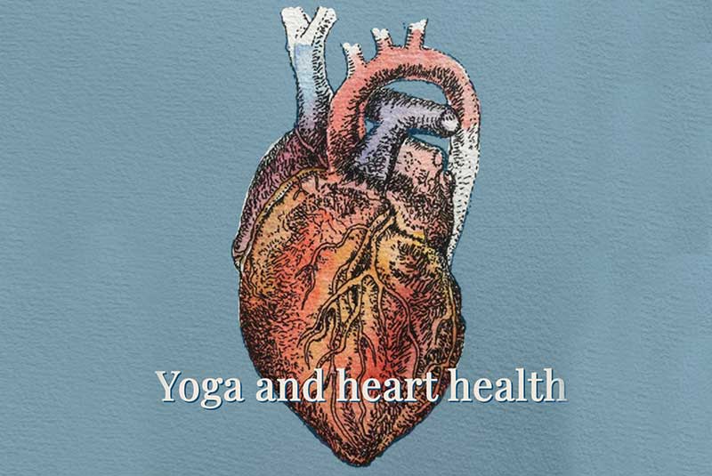 Yoga, heart, health