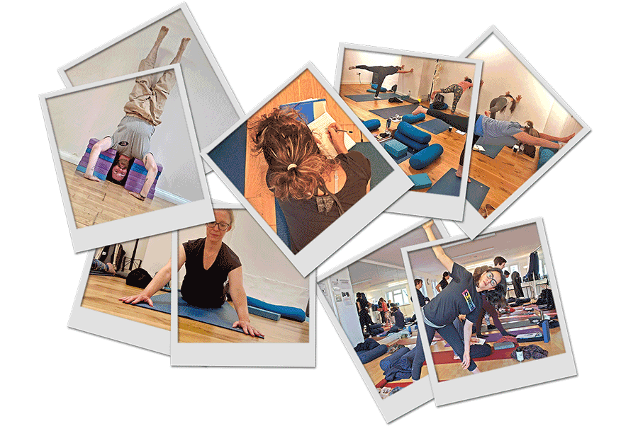 BWY Teacher Training, London Yoga Training, Online Yoga Course, UK Yoga Training, Yoga TTC UK, Best Course, CPD Yoga
