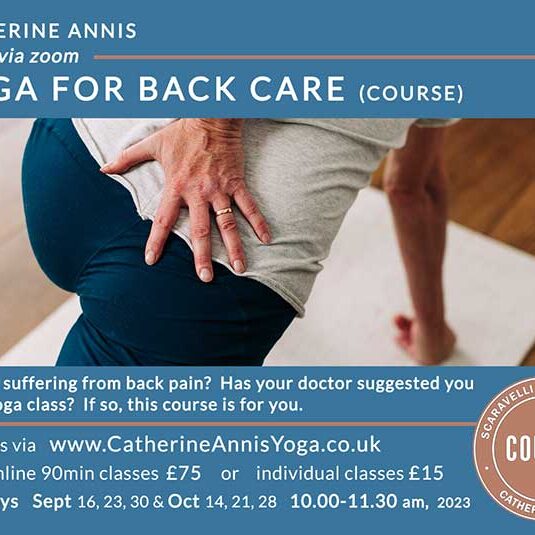 Yoga for Back Care, Yoga Course, Yoga Class, Yoga Video Scaravelli Yoga